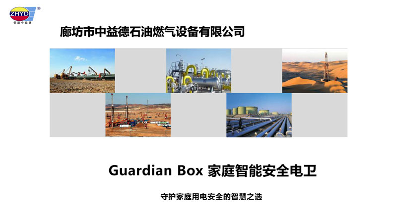 GuardianBox家庭智能安全電衛250402_頁麵_01.jpg